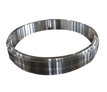 Stainless Steel Forged Rings
