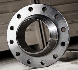 Hastelloy Flanges