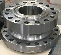 Incoloy Flanges
