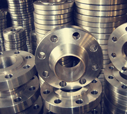 Titanium Flanges